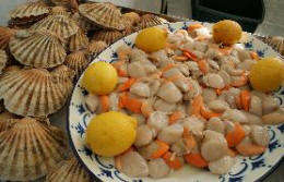 scallop festival in Rye